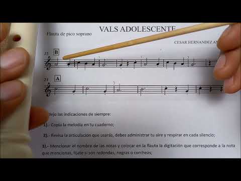 FLAUTA DULCE -