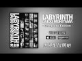 「LABYRINTH - 完全版 -」電子書籍版　森山大道　予告編