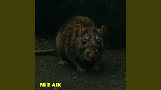 Ni e AIK