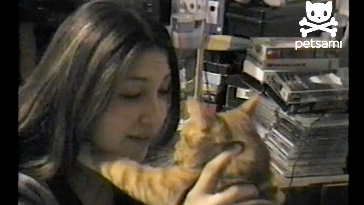 Cat can't get woman to shut up