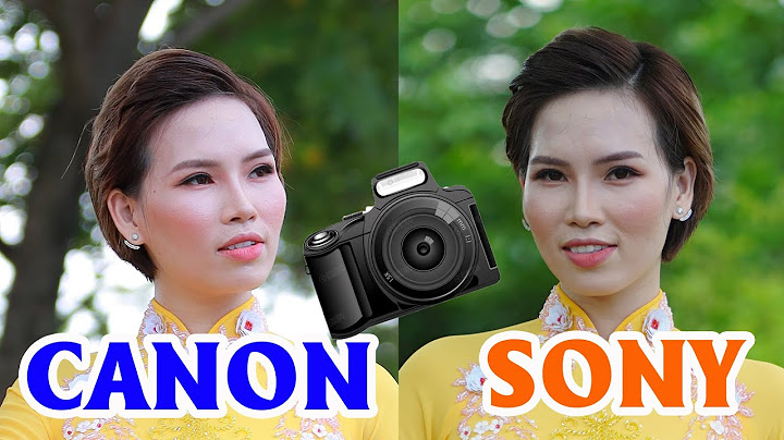 So sánh màu sắc máy ảnh canon và nikon năm 2024