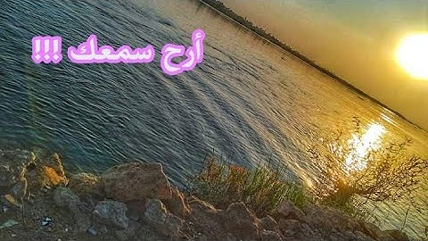 ما تيسر من سورة النور بصوت جميل ما شاء الله