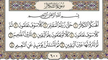 سورة التكاثر صوت رائع جدا لا يفوتك