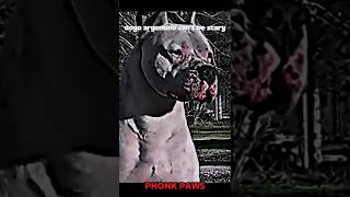 Dogo Argentino Cant Be Scary