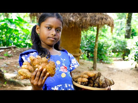 cooking videos. Hingurala Potatoes curry /හිගුරල වෑන්ජනය/A good diet recipe that promotes immunity