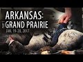 "Arkansas" Part 1 | Field Hunting Specks in Arkansas | January 2017