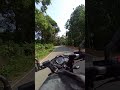 Enjoy the Ride