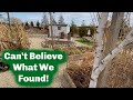 Garden Clean Up and What Did We Find?!?! //The Lawrence Garden Farm