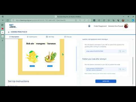 CODING PRACTICE 9 Debugging Fruits Counter