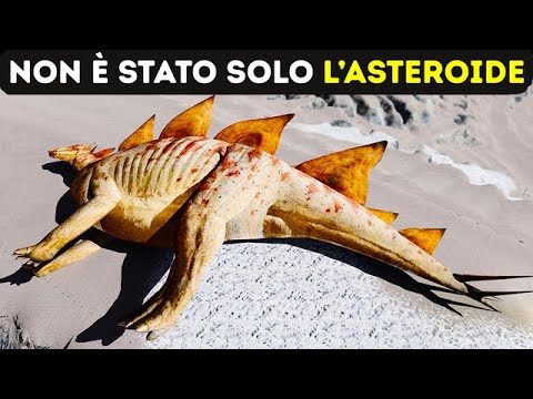 Video: Quando si sono estinti i dinosauri?