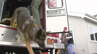 K9 Officers 1