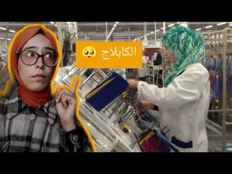 فيديو: ما الذي يتم تشغيله في كانوبوليس درايف؟