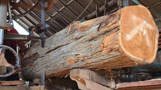 The process of turning superior teak wood into quality boards