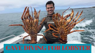 Cave Diving for Huge Lobsters