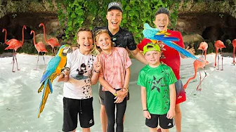 We found a Jungle Paradise!