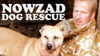 Bringing home the 🐕 dogs of war - Nowzad dog rescue |🇦🇫 NATO and Afghanistan [2013]