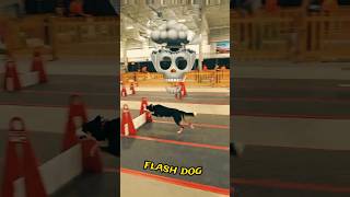 #viral #dogs #trending #skull #edit #please #complete #10lakhviews #viral #please #karan #flash