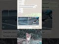 Идеальная парковка: забавная переписка про припаркованных котов. #юмор #мемы