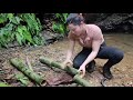 Solo Camping Hack Made in the Wild in Minutes