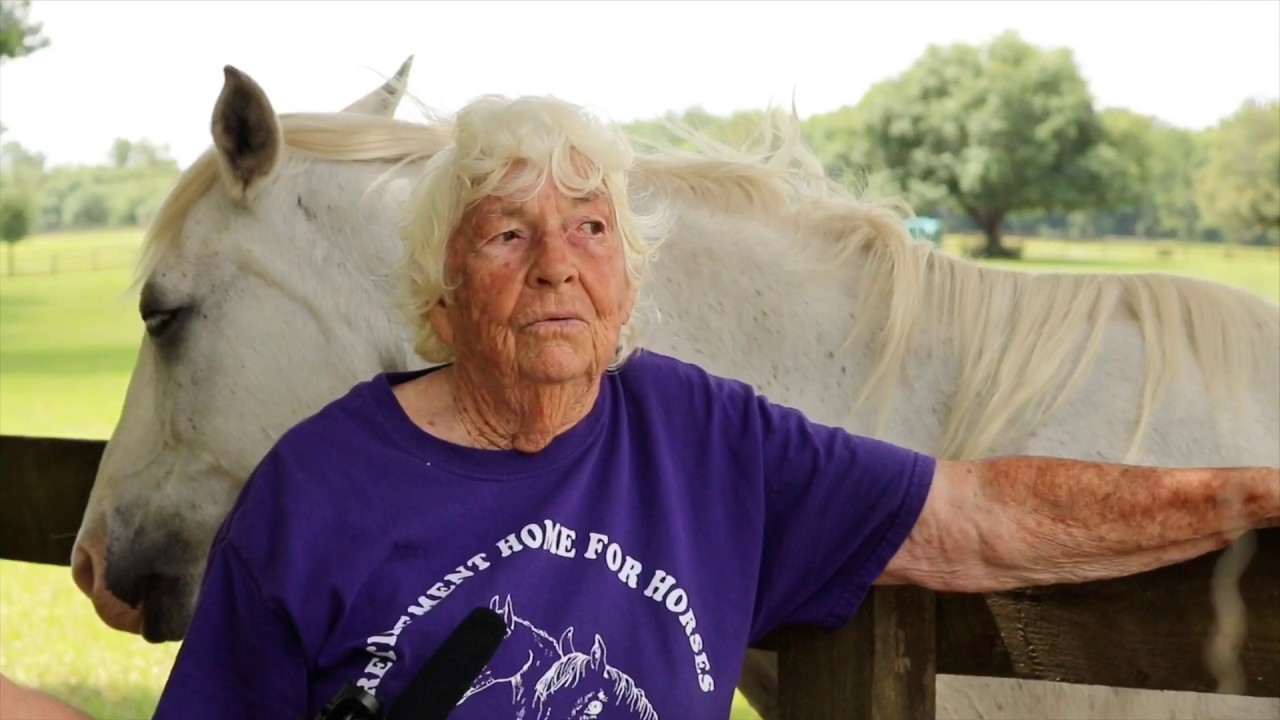 RETIREMENT HOME FOR HORSES MILL CREEK FARM ALACHUA, FLORIDA YouTube