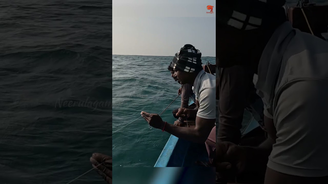 Big King Fish Caught Using Ribbon Fish as Bait 