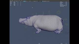 hippo walk cycle iteration 1