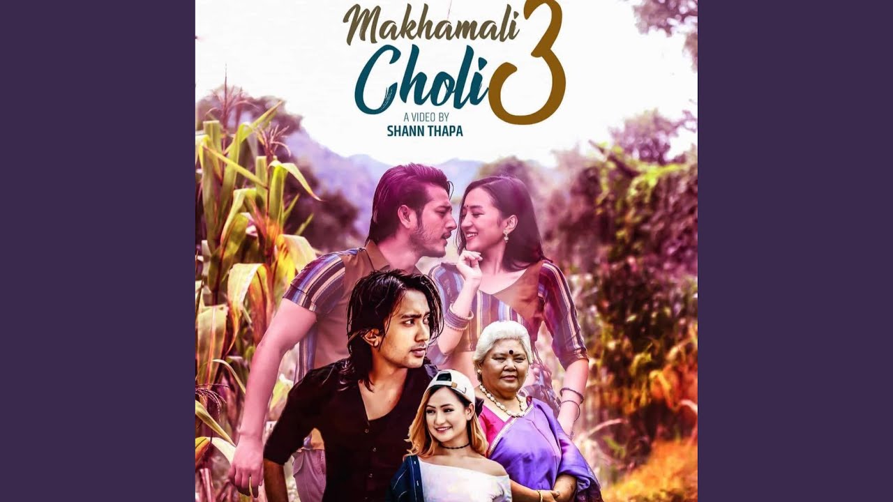 Makhamali Choli 3