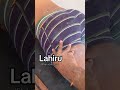 පැතුම් ඉටුවෙන ලස්සන දවසක් ඔයාට..