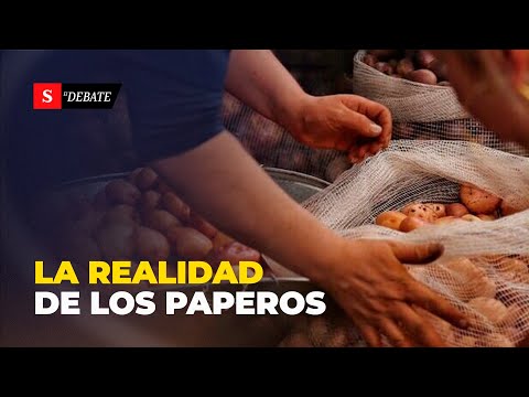 "A campesino de BOYACÁ le deberían pagar $200.000, no $30.000 por carga de papa" | ElDebate