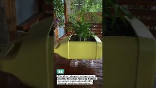 Smart Self-Watering Planter Hack 🌱♻️ #gardening #diy #smartgarden