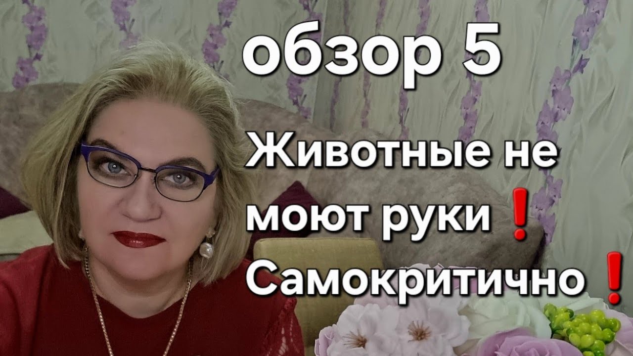 Животные не моют руки❗️Самокритично❗️
