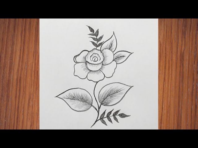 rose flower drawing is easy for kids, pencil how to draw a rose, rose  flower drawing images, rose flower drawing images for kids, pencil drawing  rose flower drawing images, beautiful rose flower