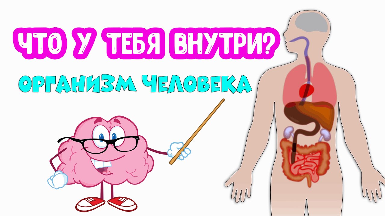 Что Внутри Человека Фото