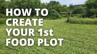 Essential Tips For Food Plot Prep & Planting - Don't Miss Out!