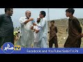 Sabir TV Report on #TigersForce Plantation Day At District Upper Dir Tehsil Wari #Tigersforceplantat