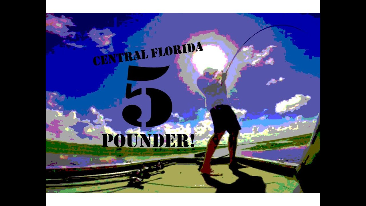 Punching Mats Bass Fishing In Florida YouTube