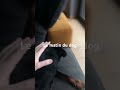 Abonnez vous - Mon Chien