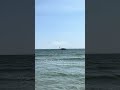 The Last Beach Days of Summer 🦀