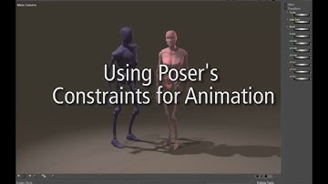 Using Poser Constraint Groups
