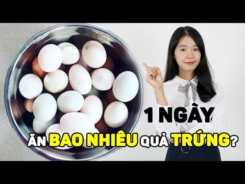 Video: Bạn Có Thể ăn Bao Nhiêu Quả Trứng?