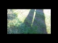 The Shadow of the Ash
