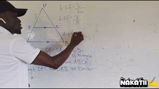 Relationship between linear scale factor and area scale factor