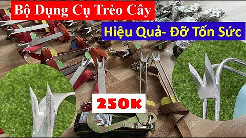 Guốc trèo cây 2 đinh - chân trèo cây, hái quả, bắt ong 2023 | Giá rẻ Combo cả bộ giảm ngay 50K