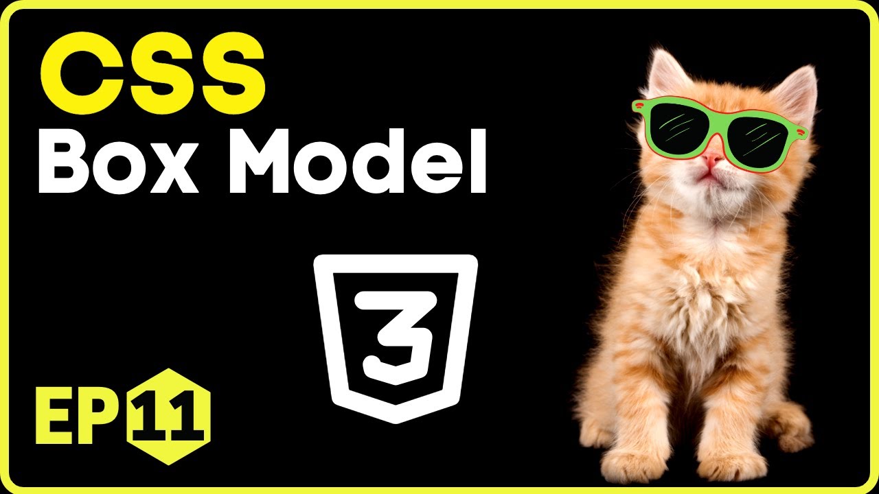 CSS Box Model | CSS in Hindi - 11 #css3 - YouTube
