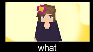 Minecraft WAIT WHAT meme № 34