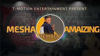 Meshamazing - Tembea