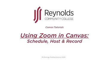 Using Zoom in Canvas
