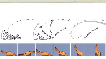 RSS 2017 - Optimal Shape and Motion Planning for Dynamic Planar Manipulation