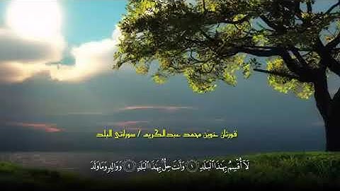 سورة البلد من صلاة الفجر | محمد عبدالکریم محمد