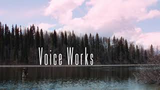 Voice Works At Centrum